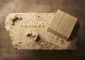 Far Cry Primal Stone