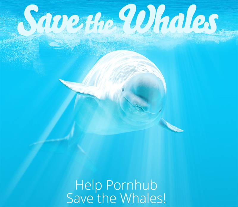 Pornhub-Save-Whales