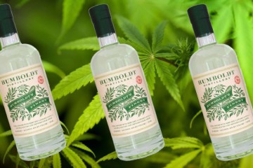 Vodka Cannabis