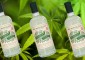 Vodka Cannabis