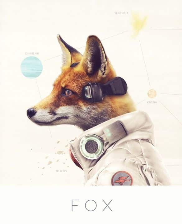 Starfox Fox realiste