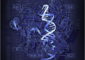 crystal_structure_of_cas9_in_complex_with_guide_rna_and_target_dna