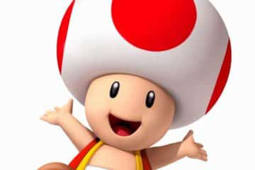 Toad