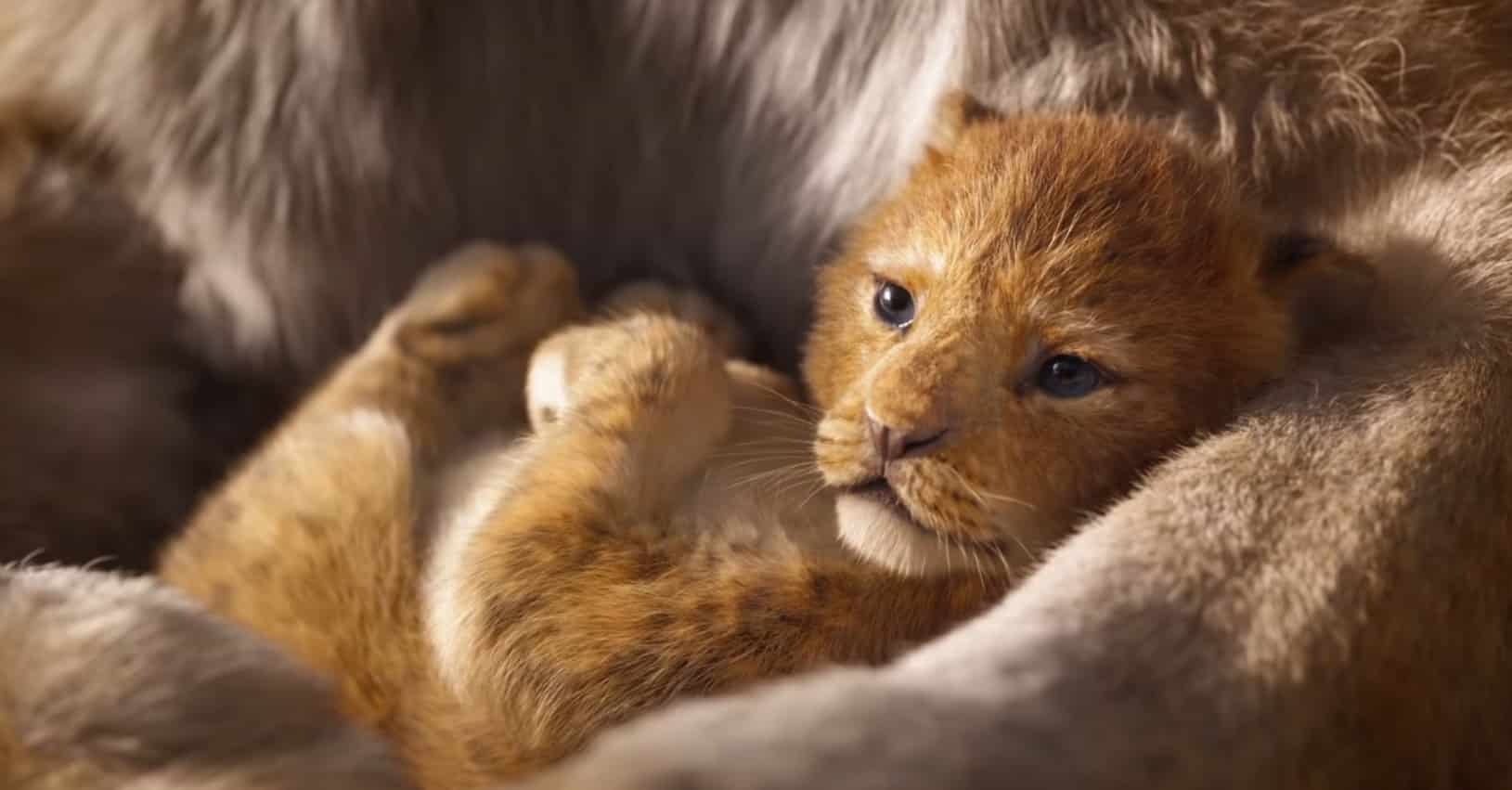 Roi-Lion-2019-film-Simba