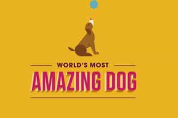 Worlds Most Amazing Dog