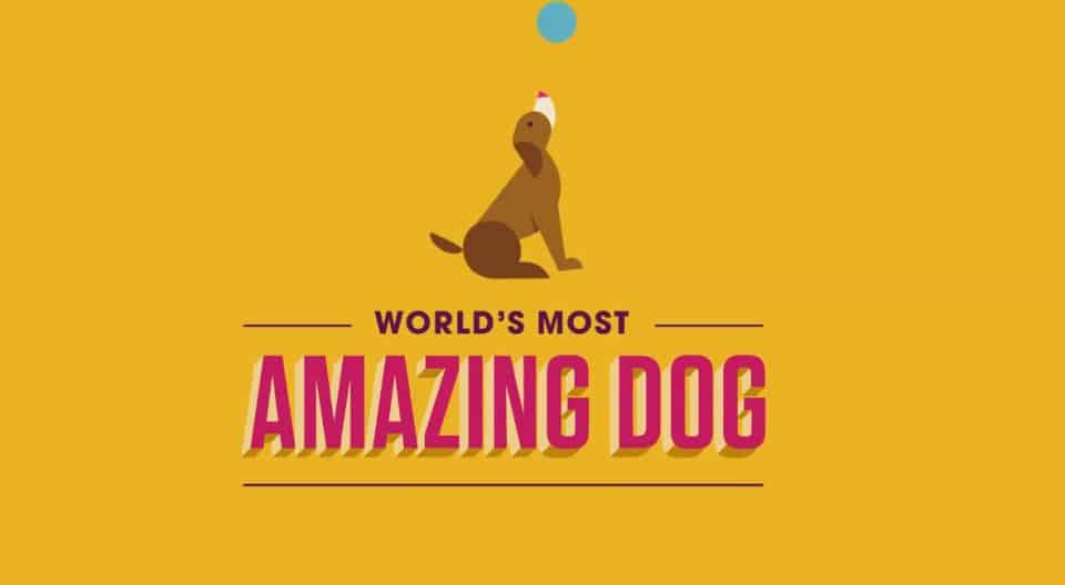 Worlds Most Amazing Dog