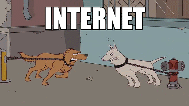 Gif Dogs Internet Reality