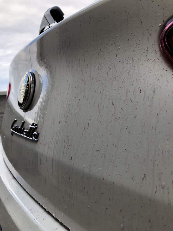 Detailing Lyon Alfa Romeo Giulietta
