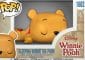 winnie pop 100 ans