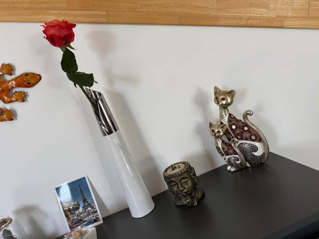 Test Nothing Phone 4a