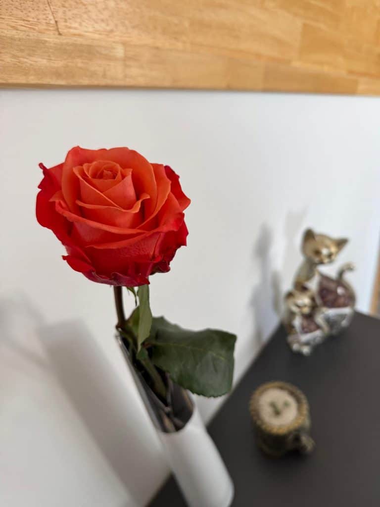 Test Nothing Phone 4a