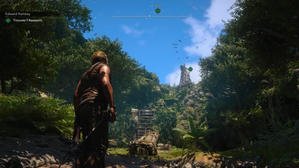 AC Black Flag