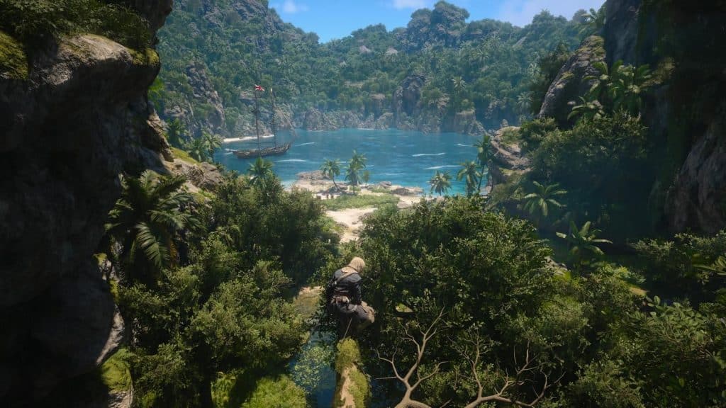 AC Black Flag