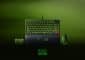 Collection Razer Xbox 25 Vert Translucide