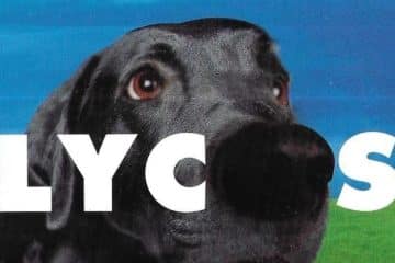 embleme lycos va chercher chien